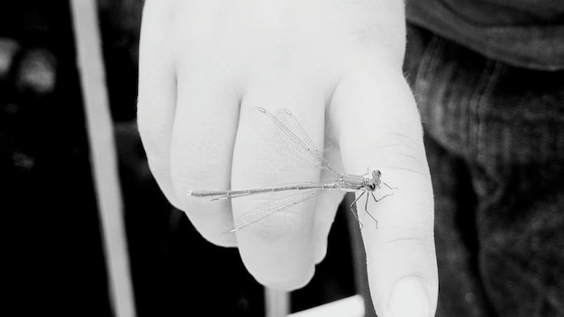 Demonštrácia techniky výšivky